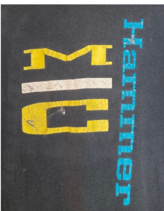 Vintage 1990 MC Hammer Please Hammer Don't Hurt Em rap tee