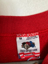 Load image into Gallery viewer, Vintage 80's Boy Watcher's Club bunny crewneck